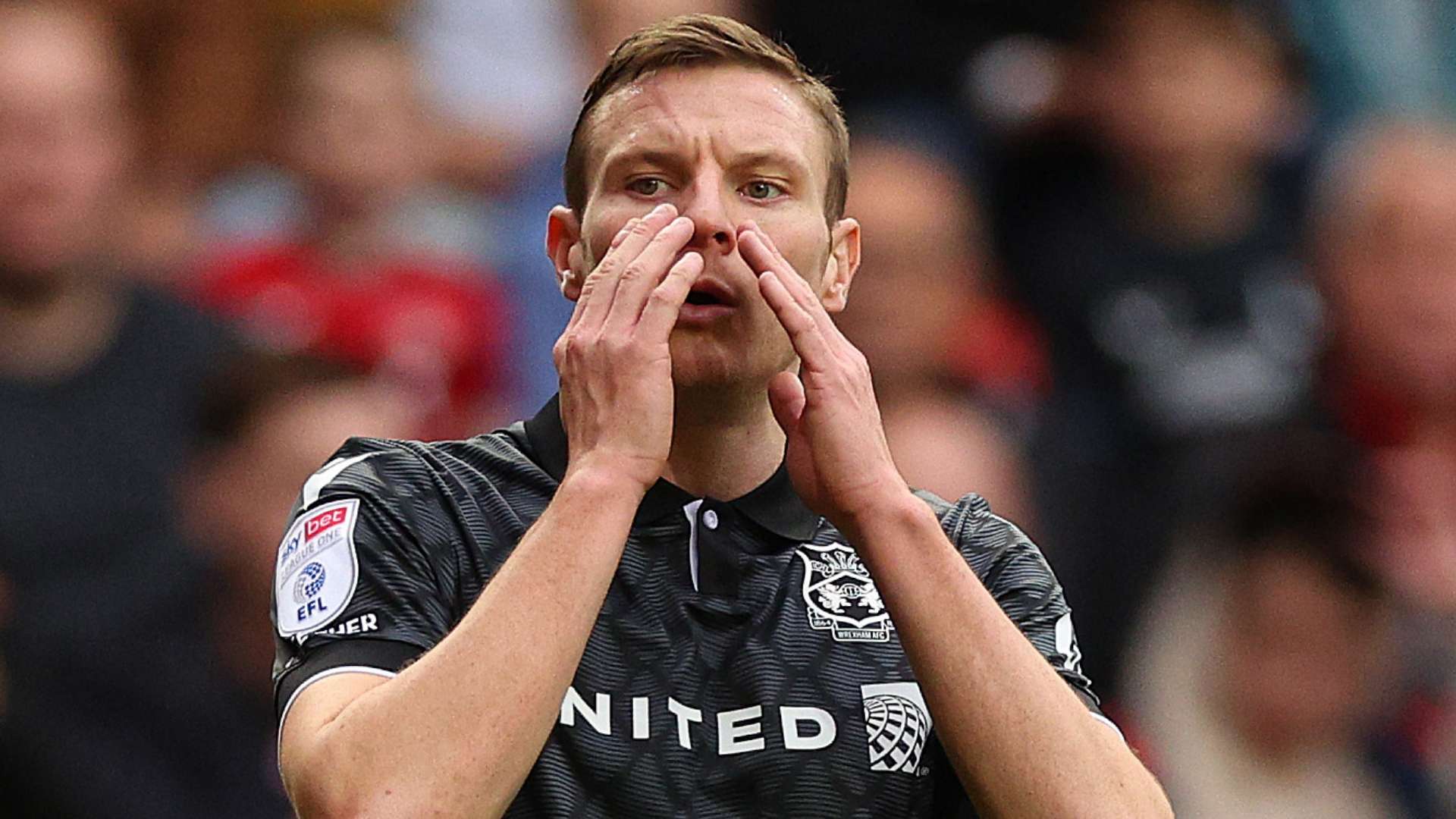 式或传统太 式或传统太