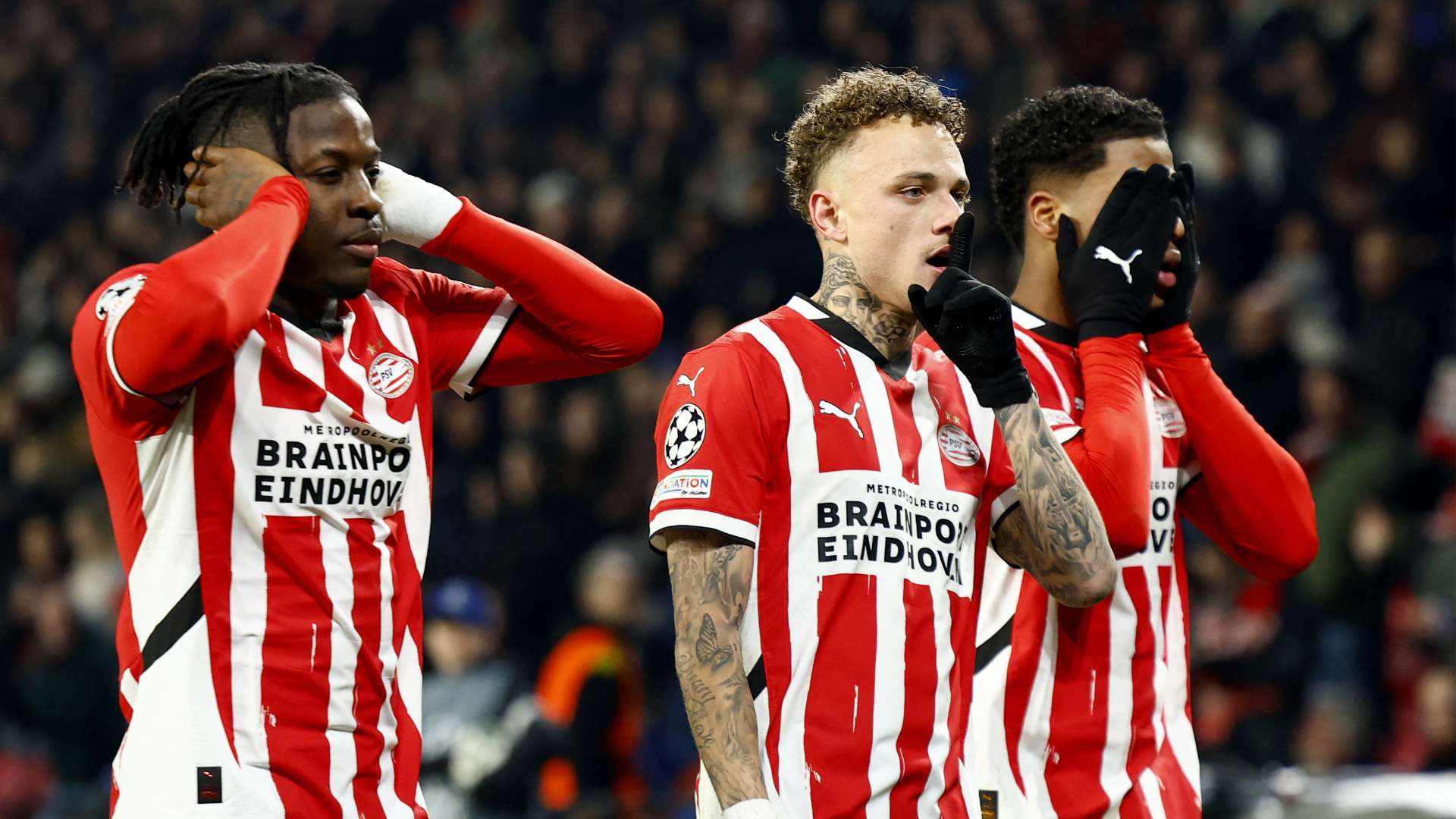 開放式博物 開放式博物