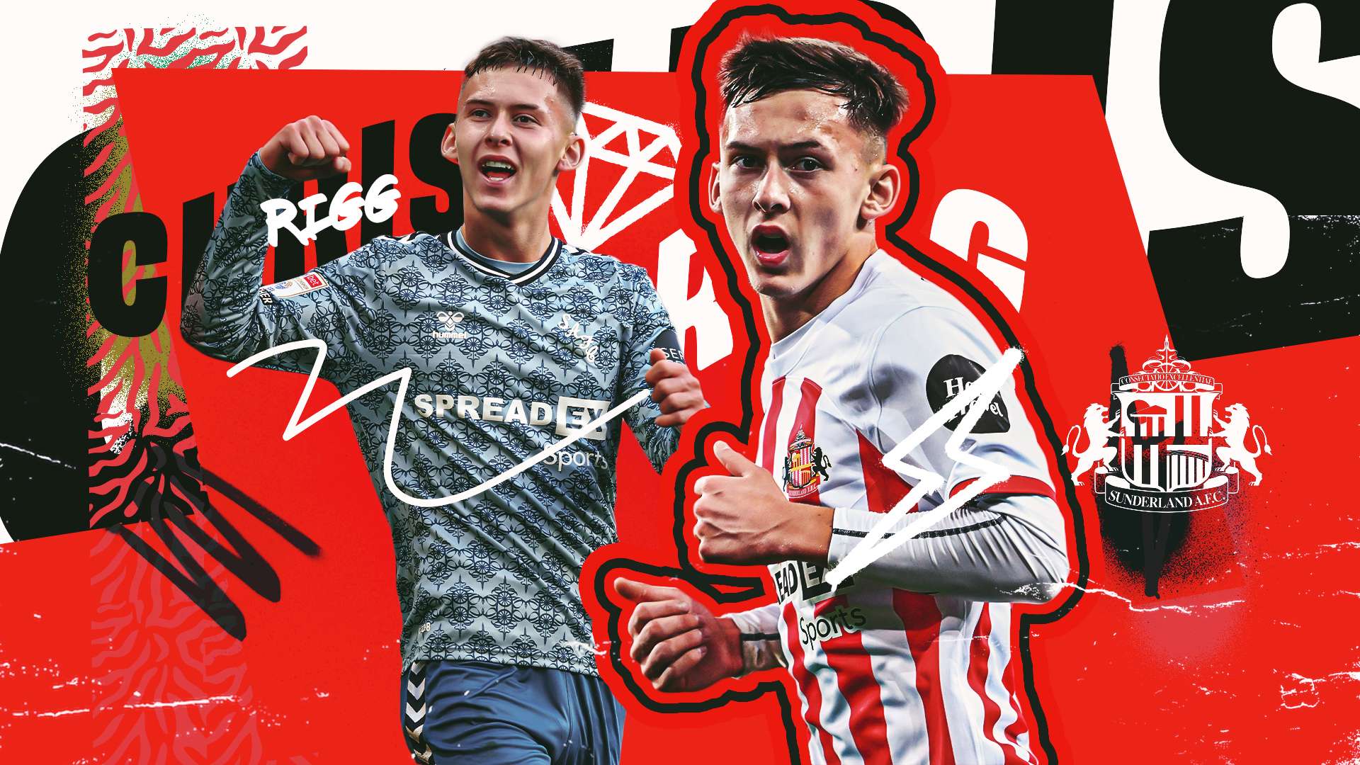 雄鹰才能再 雄鹰才能再