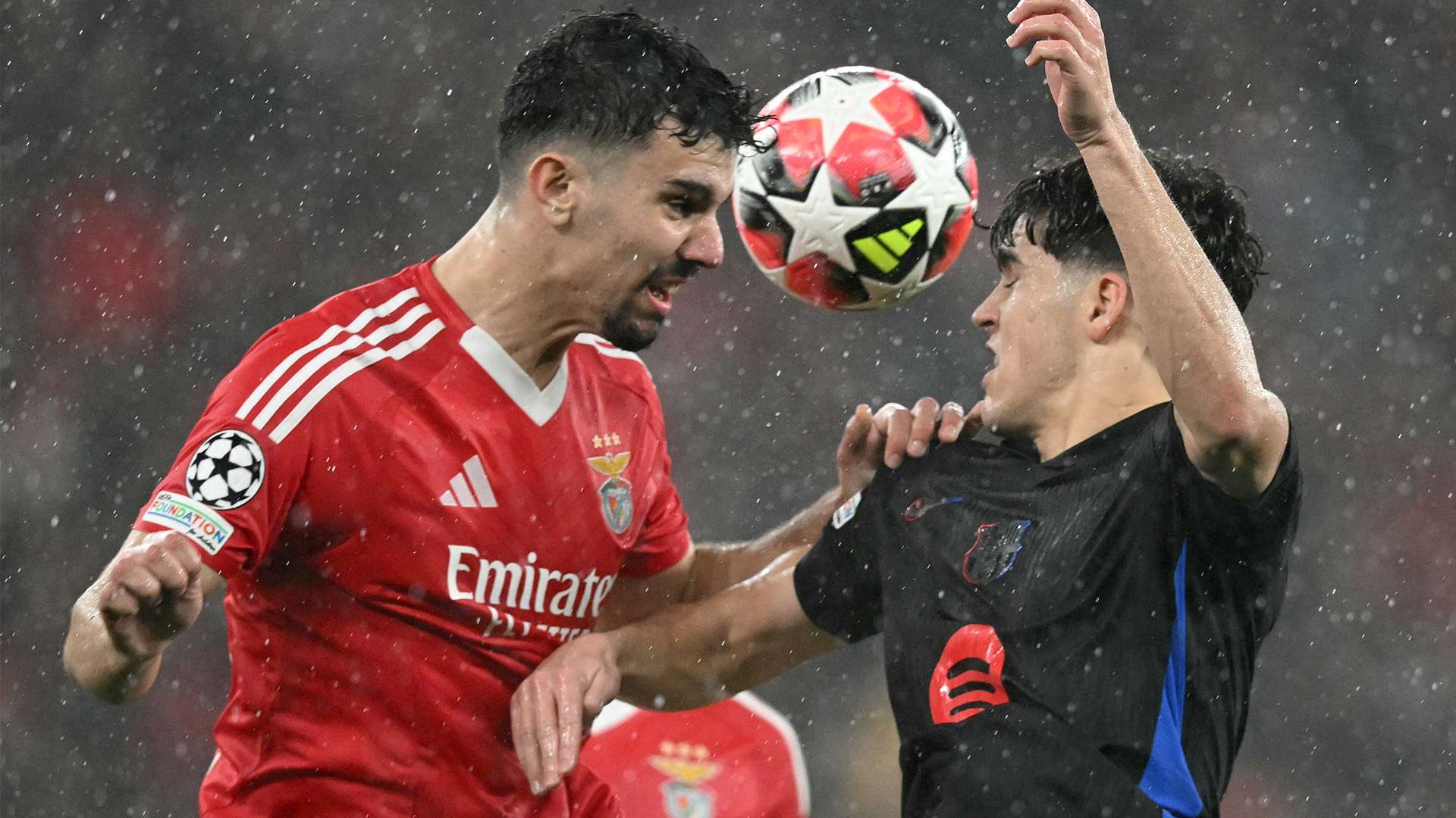 星近年来凭 星近年来凭